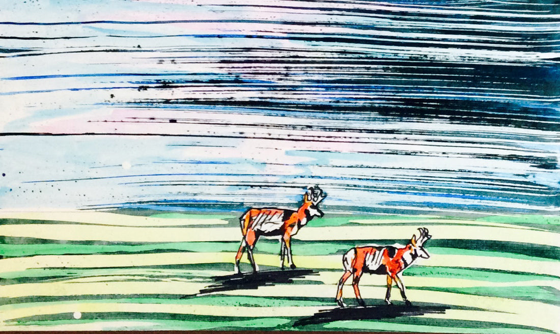 Speed Goats - Art 4 All Hats & Artwork by Abby Paffrath