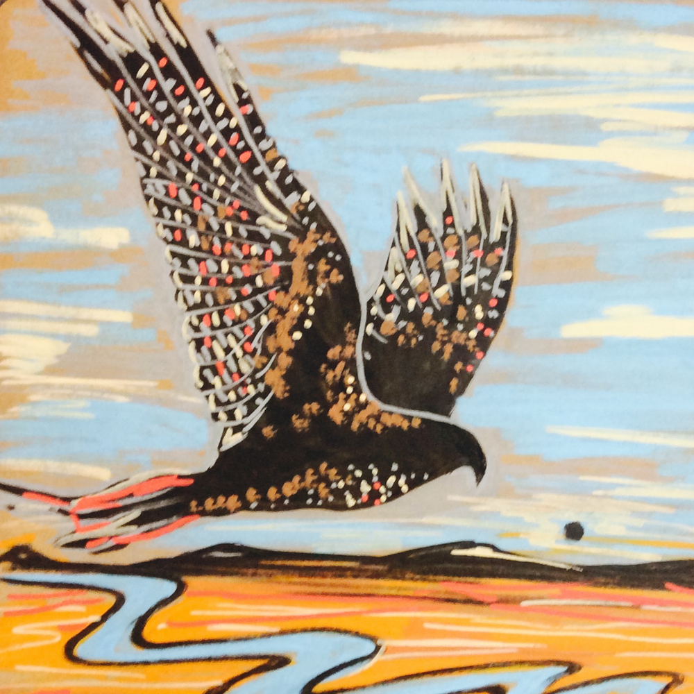 Red Hawk Tail