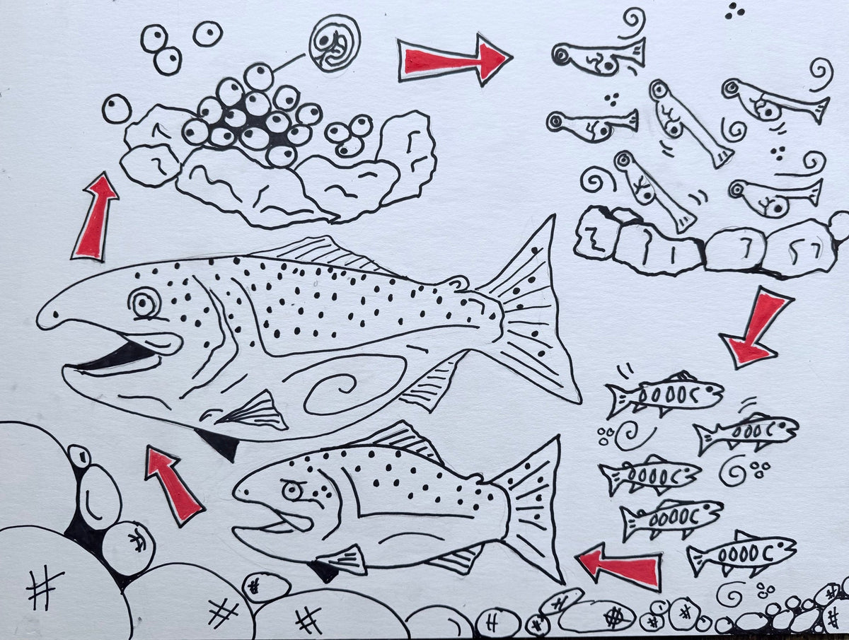 Childrens Book Art 4 All Hats & Artwork by Abby Paffrath