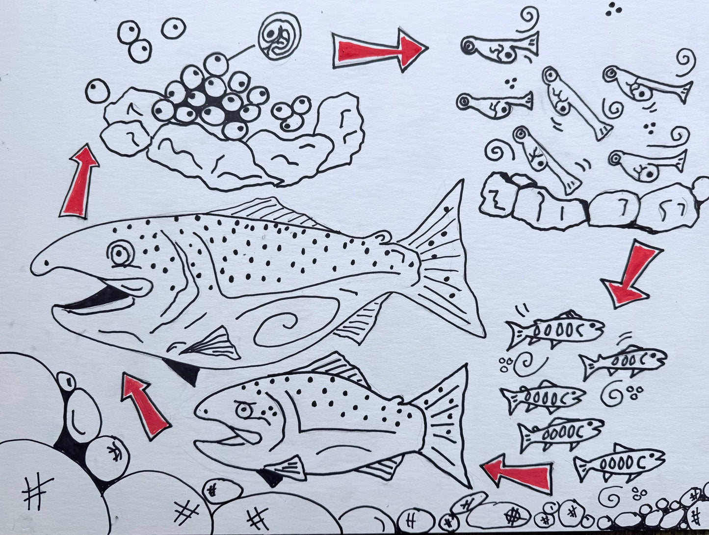 Childrens Book Art 4 All Hats & Artwork by Abby Paffrath