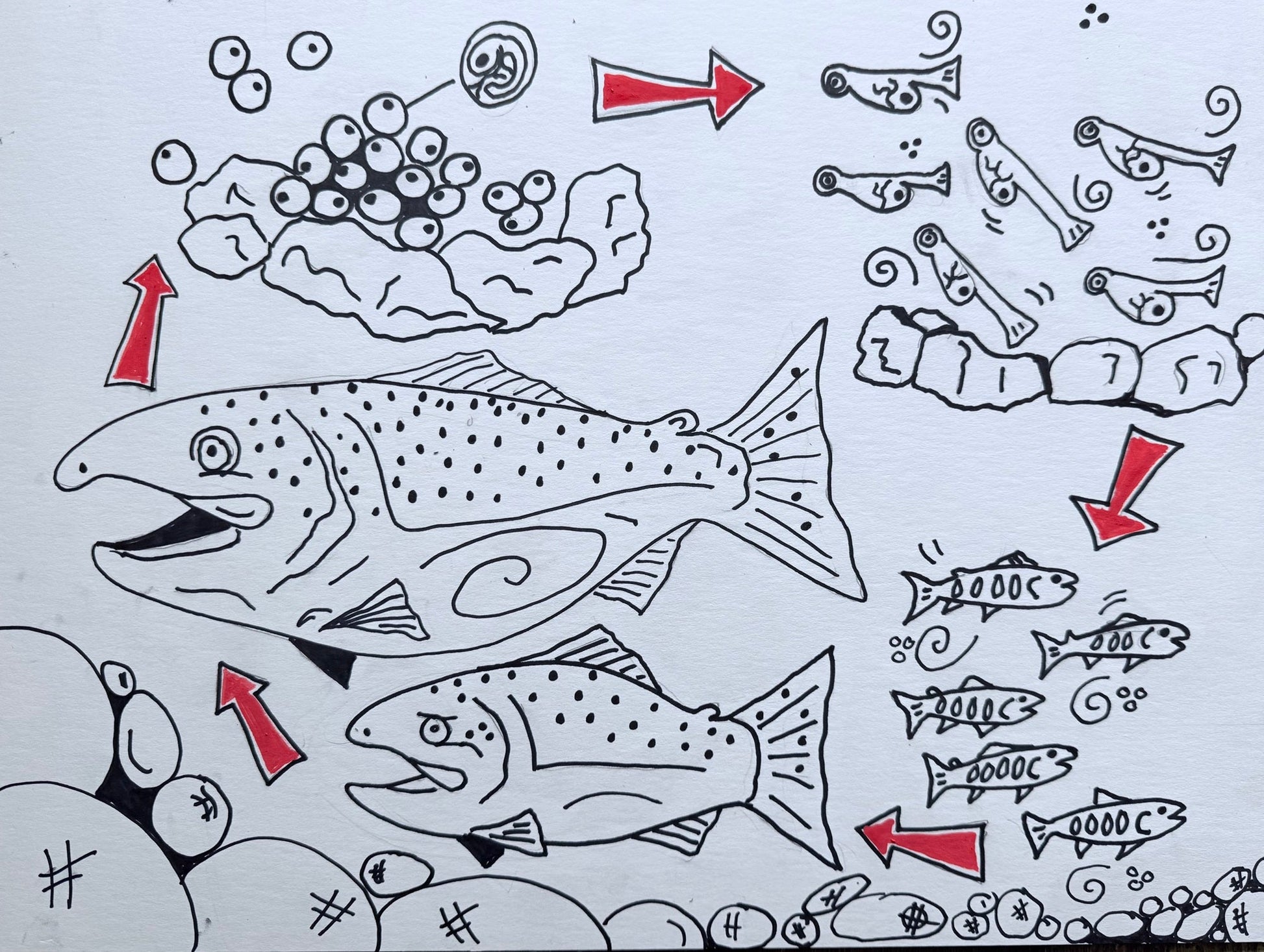 Childrens Book Art 4 All Hats & Artwork by Abby Paffrath