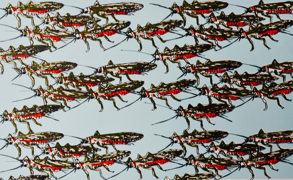 Limited edition screen print by Abby Paffrath Art 4 All